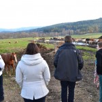 Reviving Rural Areas Hoslovice