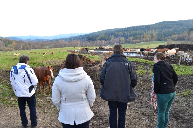 Reviving Rural Areas Hoslovice